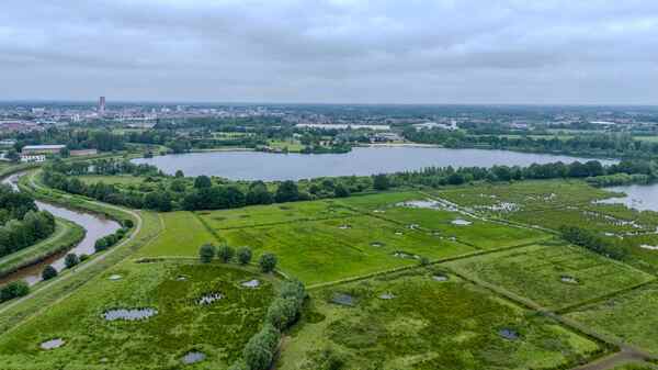 Wereld Wetlands Dag
